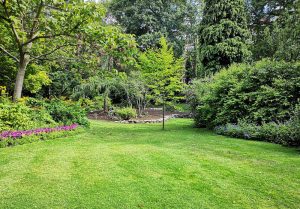 Optimiser l'expérience du jardin à Lamotte-Brebière
